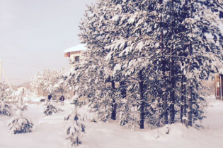 КП «Березовка»