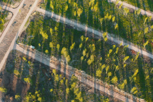 Фотографии поселка «Всеволожская губерния»
