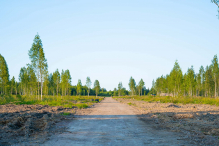 Фотографии поселка «Всеволожская губерния»