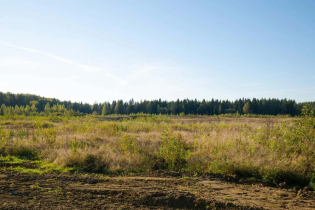 Фотографии поселка «Вартемяги Сити»