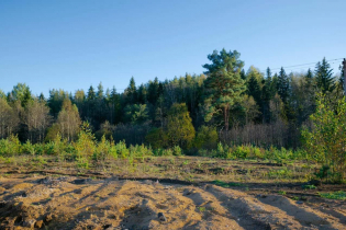 Фотографии поселка «Вартемяги Сити»