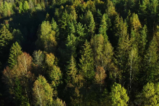 Фотографии поселка «Вартемяги Сити»