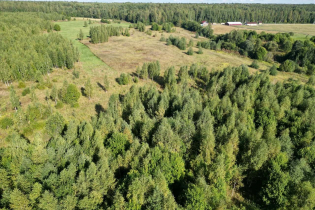 Фотографии поселка «Поместье Пухолово»