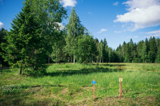 КП «Кокосы»