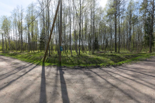 Фотографии поселка «Приветнинское»