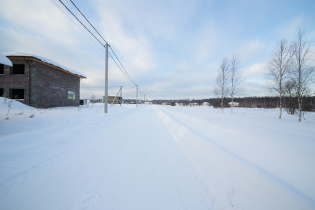 КП «Березовка»: январь 2019