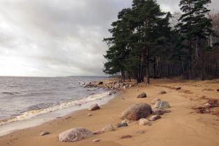 КП Litorino