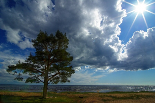 КП Litorino