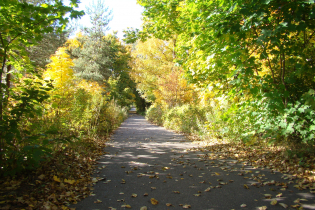 КП Litorino