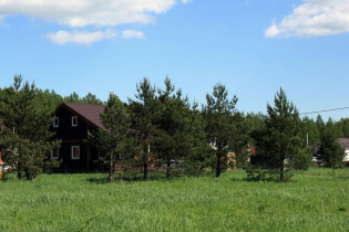 КП «Березовка»: июнь 2019