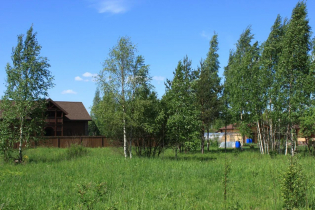 КП «Березовка»: июнь 2019