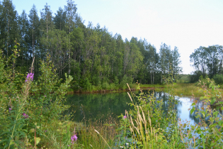 КП «Грузино парк»