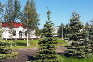 КП Петергофские дачи