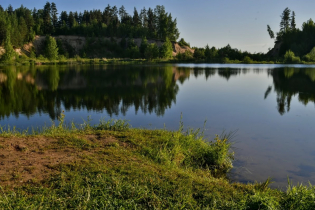 КП «Зеленый лес»