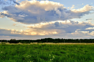 КП «Зеленый лес»