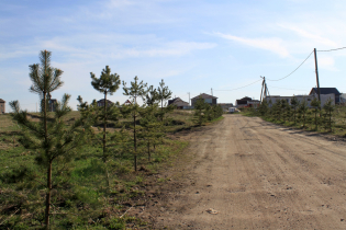КП «Елагино»