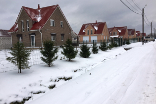 КП «Одуванчик»