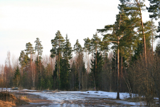 КП «Константиновка»