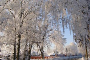 КП «Петровские сады»
