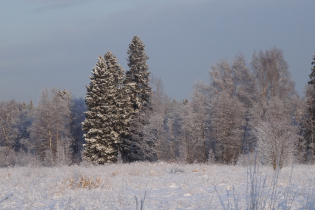КП «Верховский»