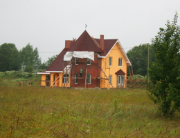 Новые Борницы