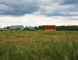 Снегири