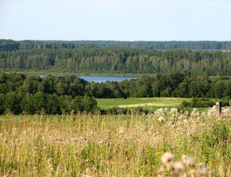 Лосось и Окунь