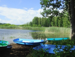 Ромашково