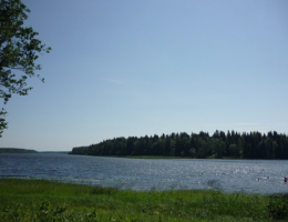 Былины