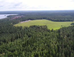 Nurmi Hills