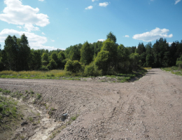 Брусника road