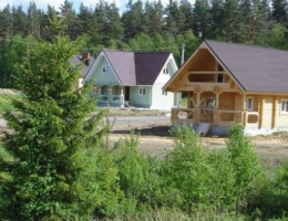 Борисовка
