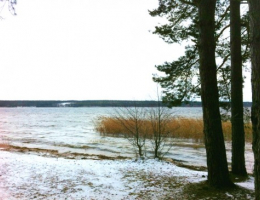 Овраги