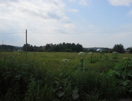 Нева-2003