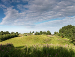 Корела Парк