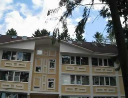 Усадьба в соснах