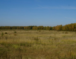 Пахомово