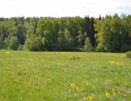 Кремлевский