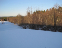 Рощино