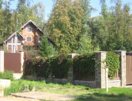 Оазис