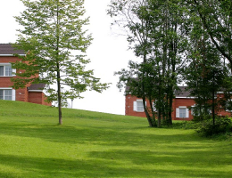 Росинка