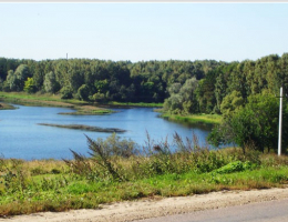 Береговой