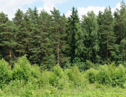 Бережково