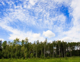 Фантазия