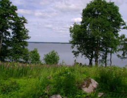 Аборино люкс
