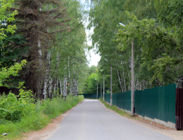 Петровский лес