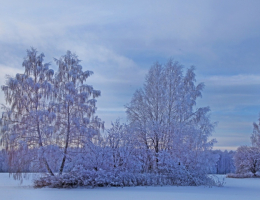 Прилесье (Ногинский район)