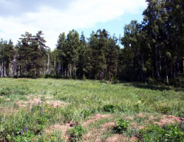 Кабаново Лесное