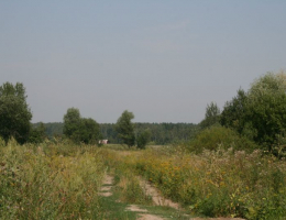 Поместье Колонтаево