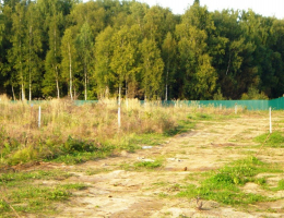 Лайм